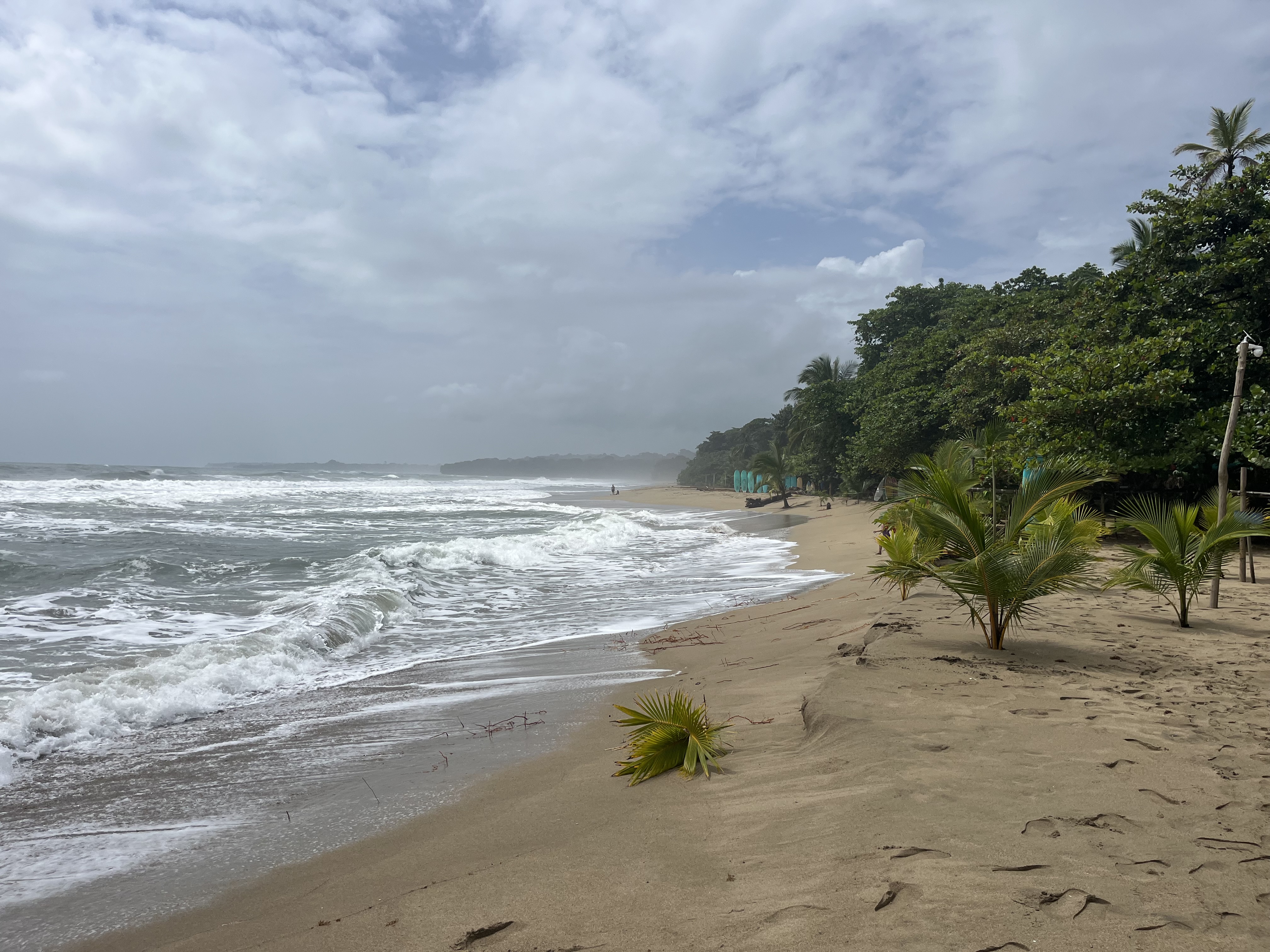 Puerto Viejo