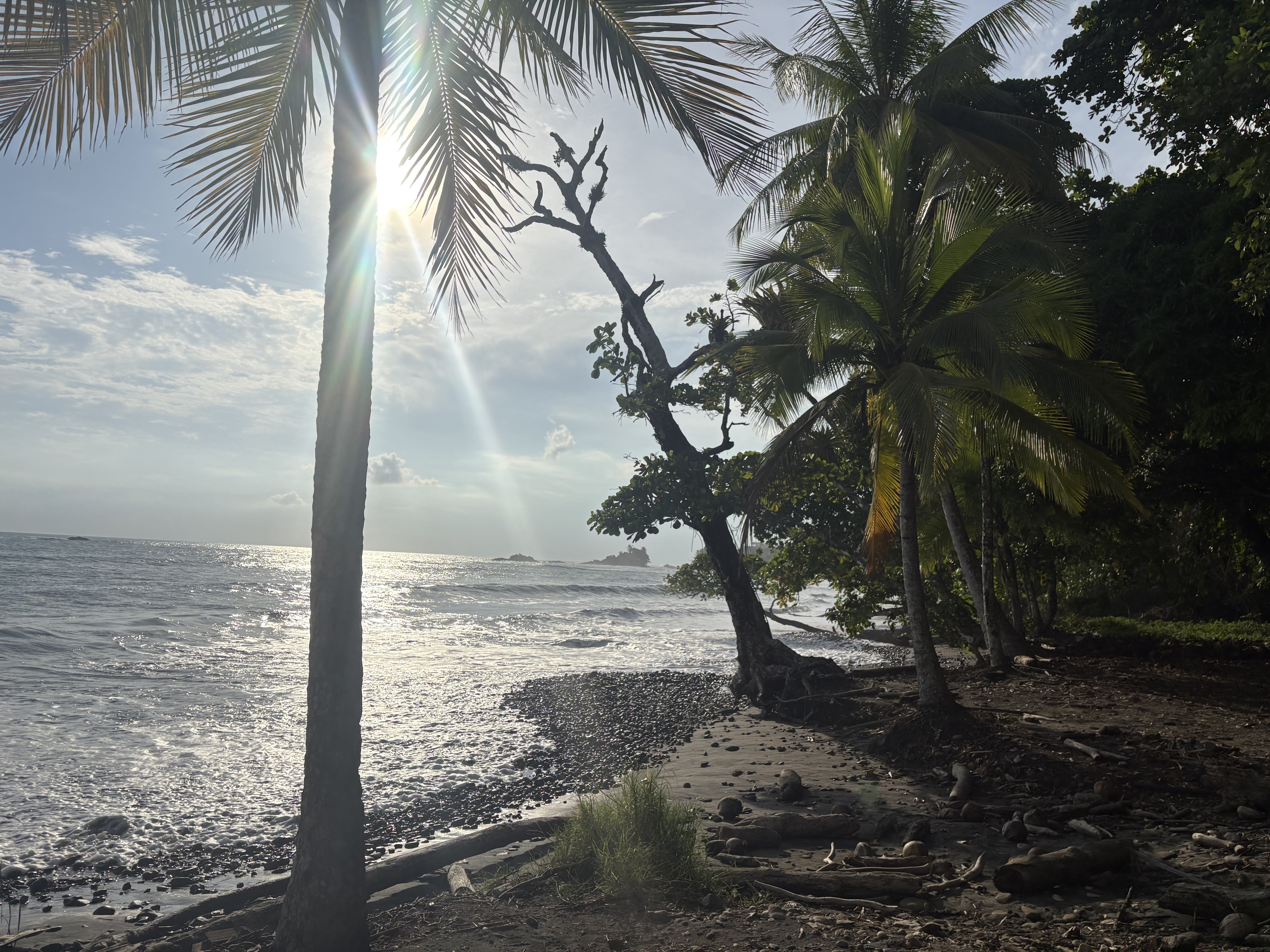 Foto aus Dominical
