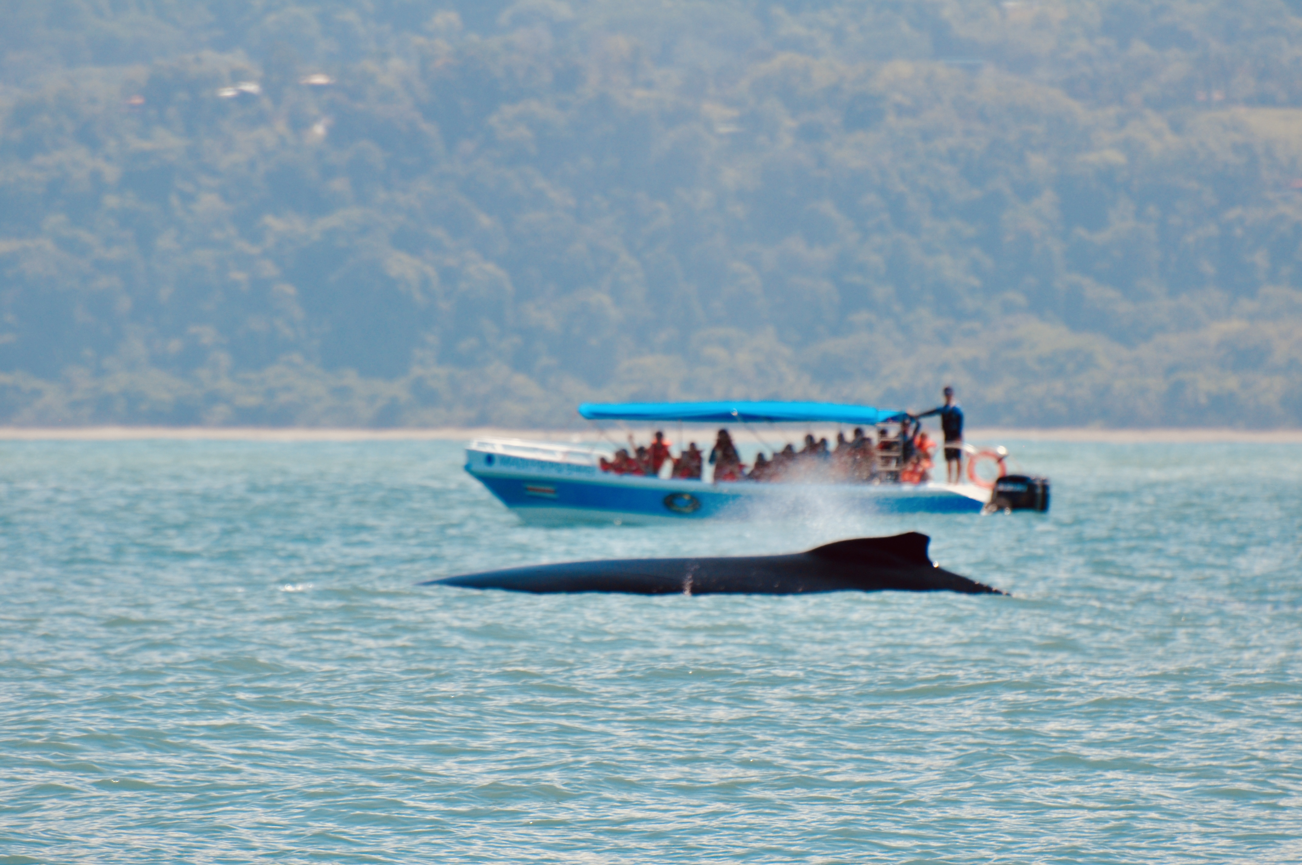 Foto aus Dominical